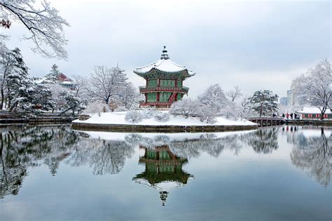 10 Things to do in Seoul in Winter: Mix of Indoor and Outdoor Fun!