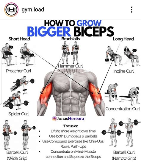 Bodyweight Exercises For Biceps | SexiezPicz Web Porn