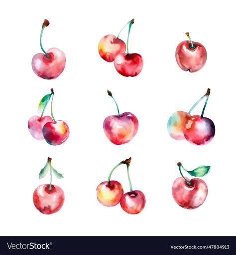 Watercolor cherry set hand drawn Royalty Free Vector Image