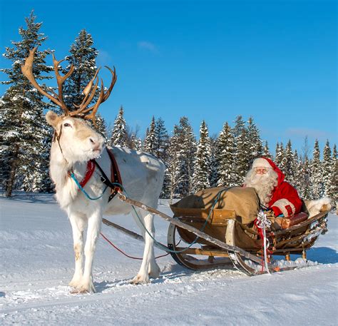 Santa Claus' reindeer sleigh ride at Ritavaara in Pello in Lapland ...