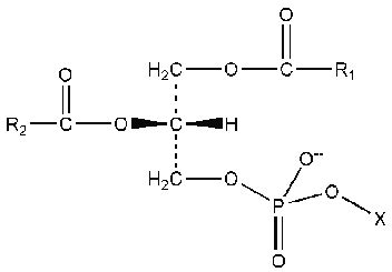 10. General structure of a phosphate ester. The moiety X is contributed ...