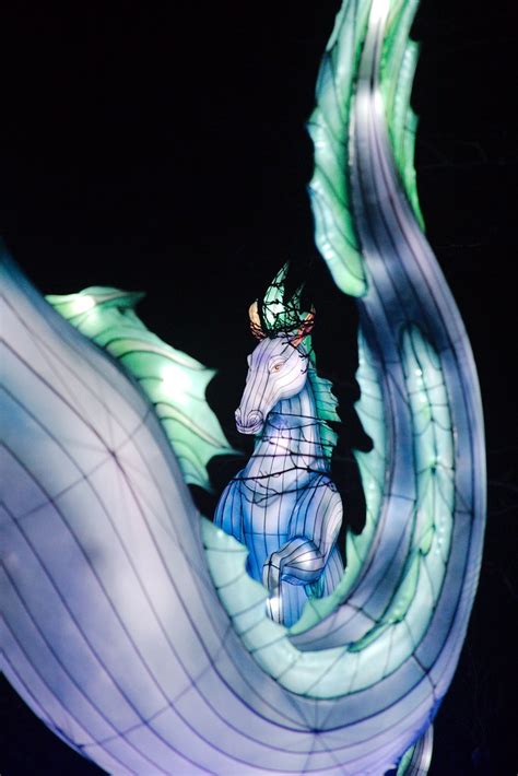 Giant Lanterns of China | Edinburgh Zoo, 2019 | Lesley Mitchell | Flickr