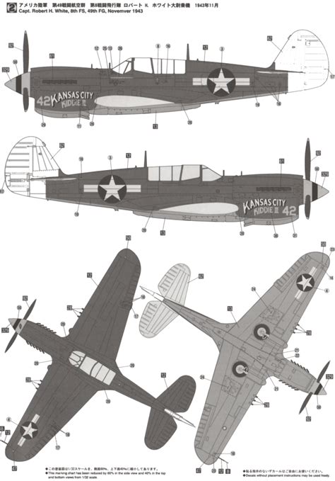 Curtiss P-40N Warhawk USAAF Two-Color Camouflage Color Profile and ...