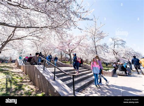 Washington DC, USA - April 5, 2018: Tourists people many crowd walking ...