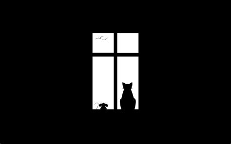 Silhouette of cat in the window, black background wallpapers and images ...