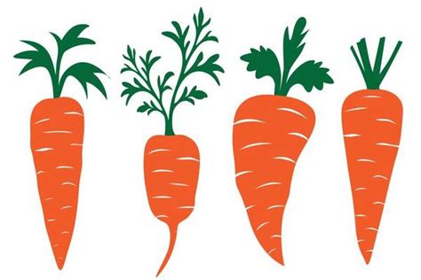 Carrot Vector Art, Icons, and Graphics for Free Download