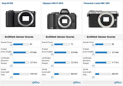 Sony A5100 sensor review: Uncompromising performance - DXOMARK