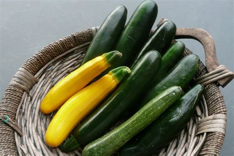 The fruit of mediocrity: Zucchini – Wolf Tracks