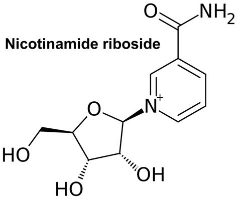 Nicotinamide riboside function, supplement dosage & nicotinamide ...