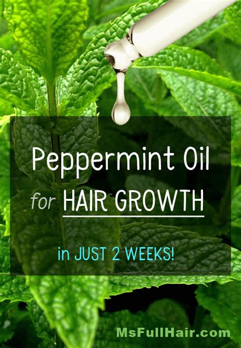 How to Use Peppermint Oil for Hair Growth – Visible Results in JUST 2 ...