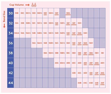 bra size measurements chart - Joe Wright