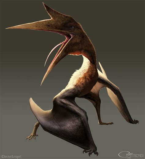 Quetzalcoatlus (5e Creature) - D&D Wiki