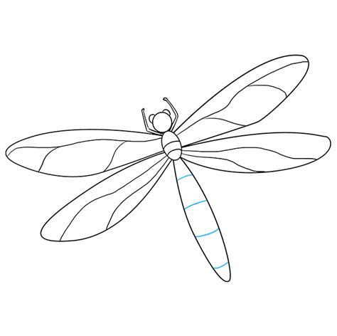 How to draw a dragonfly – Artofit