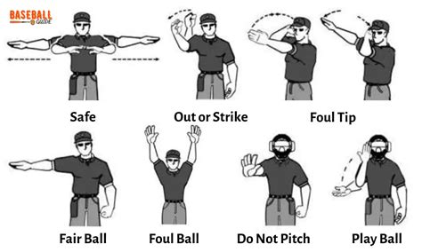 Beginner's Guide to Baseball Umpire Signals: Complete Guide