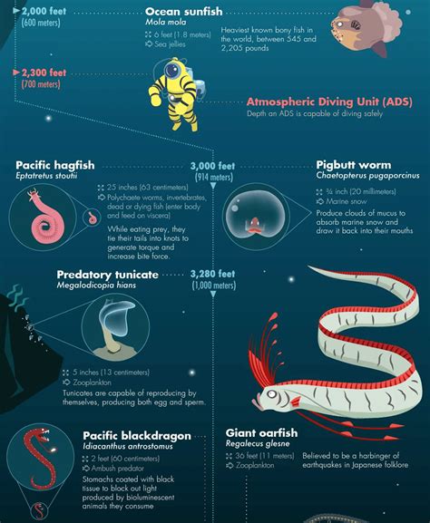 Pacific Ocean Animals Facts