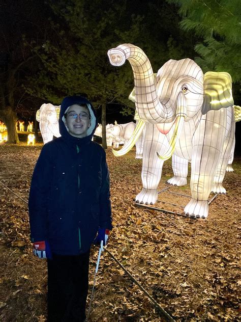 6 Things To Know About The Bronx Zoo Holiday Lights Exhibit