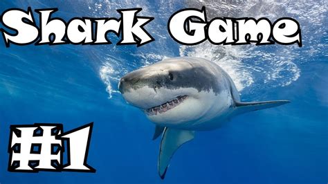 Shark Game Gameplay #1 - SHARKS! - YouTube