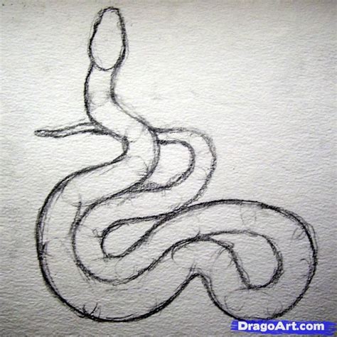 How to Draw a Realistic Snake, Draw Real Snake, Step by Step, Snakes ...