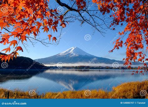 Mt. Fuji and Autumn Foliage at Lake Kawaguchi Stock Image - Image of ...