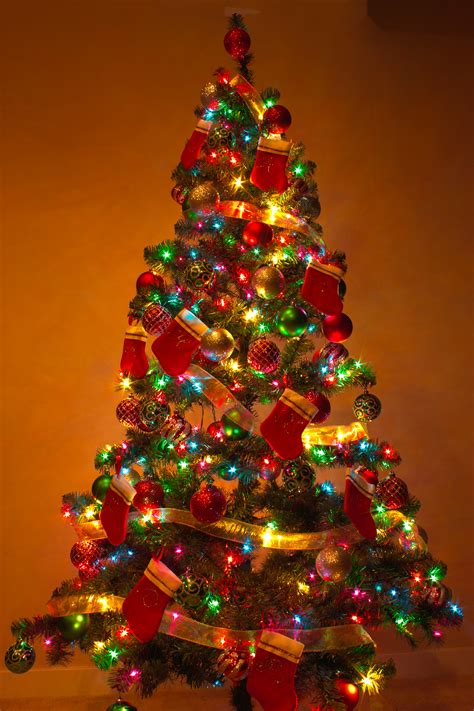 File:Y Christmas Tree 2.jpg - Wikipedia, the free encyclopedia