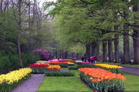 Keukenhof Gardens, Our Visit to a Colorful World of Tulips