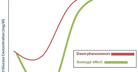 MedPrepOnline: Dawn Phenomenon and Somogyi Effect