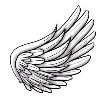 Single Wings PNG Transparent Images Free Download | Vector Files | Pngtree