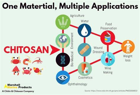 Pin on Application of Chitosan