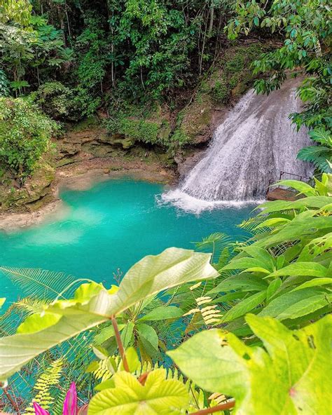 Most Stunning Waterfalls in Jamaica | Jamaica waterfalls, Jamaica ...