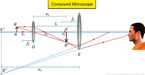 Microscope Magnification Power