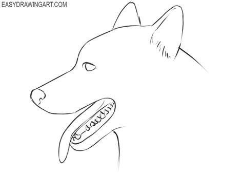 How To Draw A Cute Dog Head - Draw a fuzzy line around her head and ...