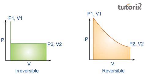 Reversible Irreversible processes