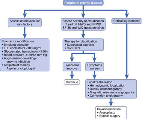 Lower Limb Peripheral Vascular Disease | Musculoskeletal Key