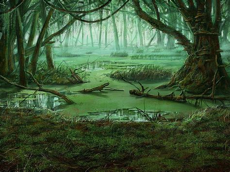 Swamp Backgrounds - Wallpaper Cave