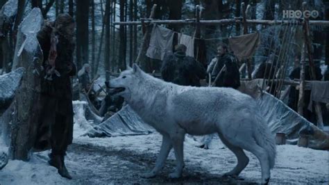 Dire Wolf Puppies Game Of Thrones