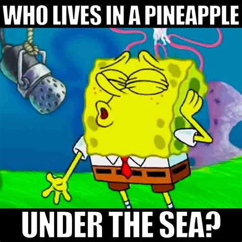 50 Funny SpongeBob Memes And Interesting Facts