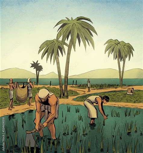 ancient egypt agriculture - nile river ilustración de Stock | Adobe Stock