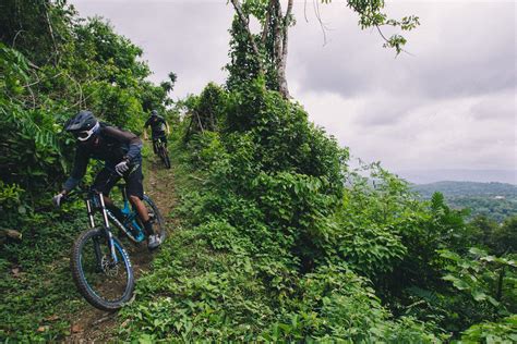 Trail Hunter - Jamaica - Pinkbike | Activities in jamaica, Jamaica, The ...