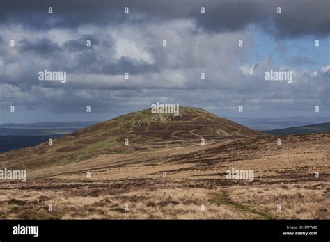 Foel Drygarn, Preseli Hills, Pembrokeshire, Wales, UK Stock Photo - Alamy