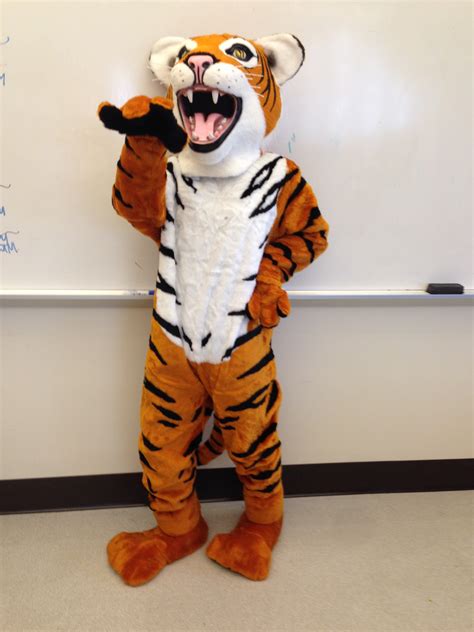 Top 10 most common high school mascots | USA TODAY High School Sports