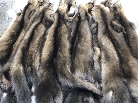 Sable fur skin, real fur, skins for sewing, Russian sable | eBay