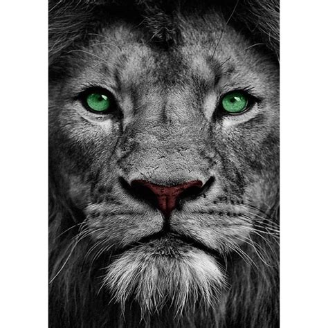 Diamond Painting - Full Round - Green Eye Lion – Everydayedeals | Lion ...