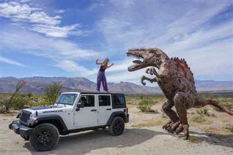 Camping at Anza Borrego State Park: Everything You Need to Know in 2021 ...