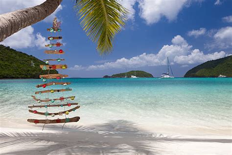 Caribbean Christmas Stock Photos, Pictures & Royalty-Free Images - iStock