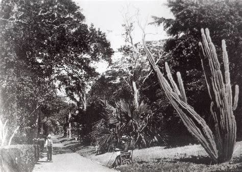 General & History - Durban Botanic Gardens