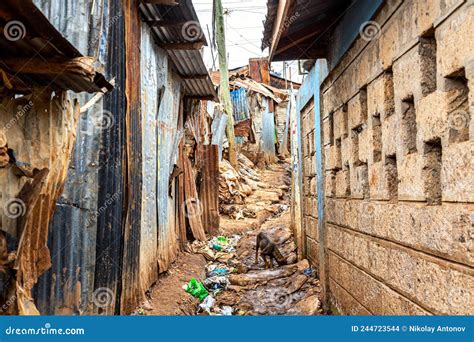 Kibera Slum in Nairobi. Kibera is the Biggest Slum in Africa Editorial ...