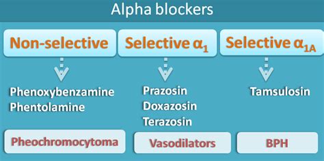 18 classes of important drugs acting on receptors