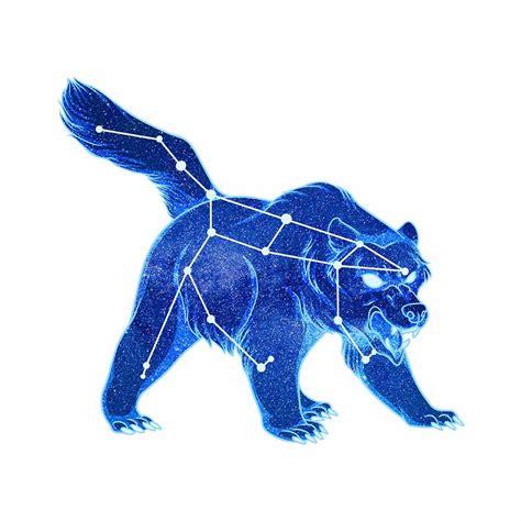 Ursa Major Bear