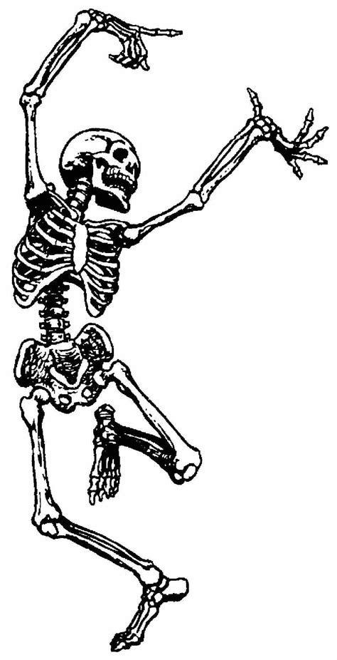 🔥 [50+] Funny Skeleton Wallpapers | WallpaperSafari