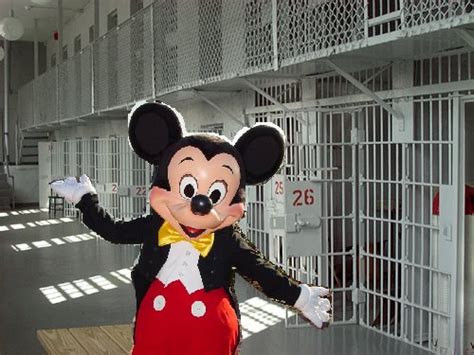 How the Terzis Family Landed in Disney Jail - DC Real Estate Mama